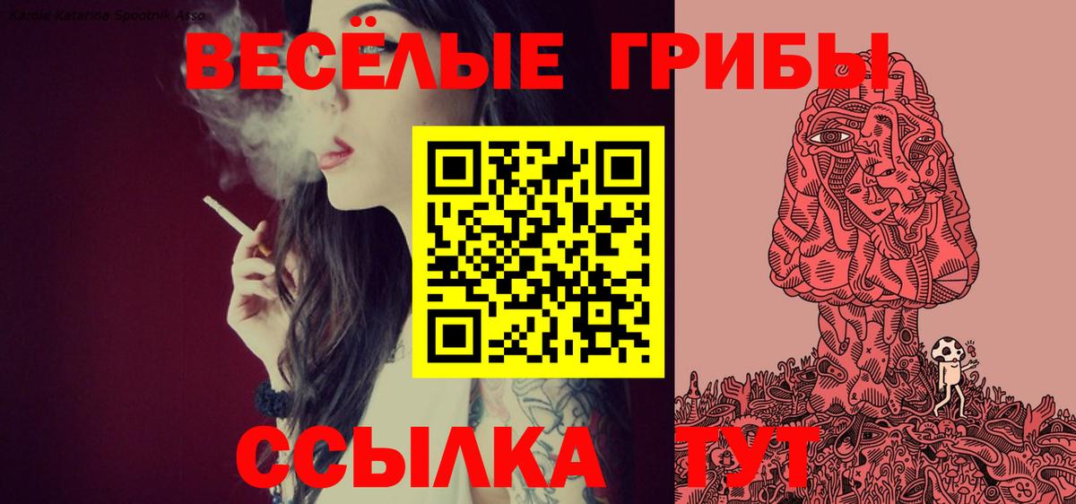 Галлюциногенные грибы MAGIC MUSHROOMS  Вход с VPN  Строитель 
